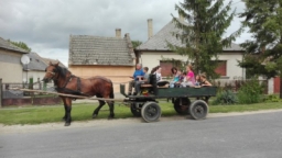 csaladinap2016_14_20210412